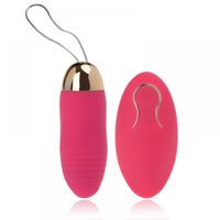 Bullet-Revestido-Em-Silicone-Com-Controle-Wireless---10-Modos-De-Vibracoes---Cod.1093